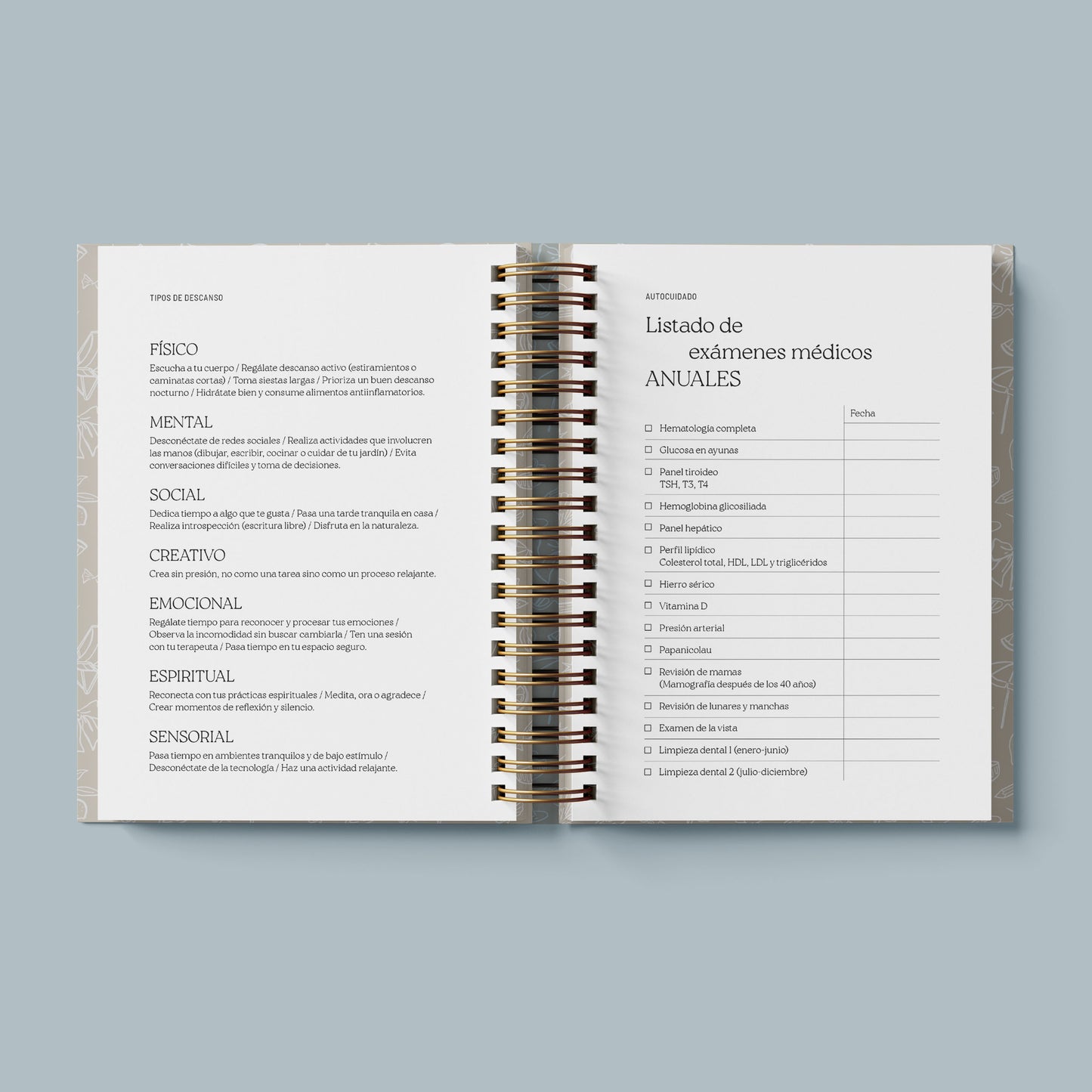 Sheboss Planner (sin fecha)