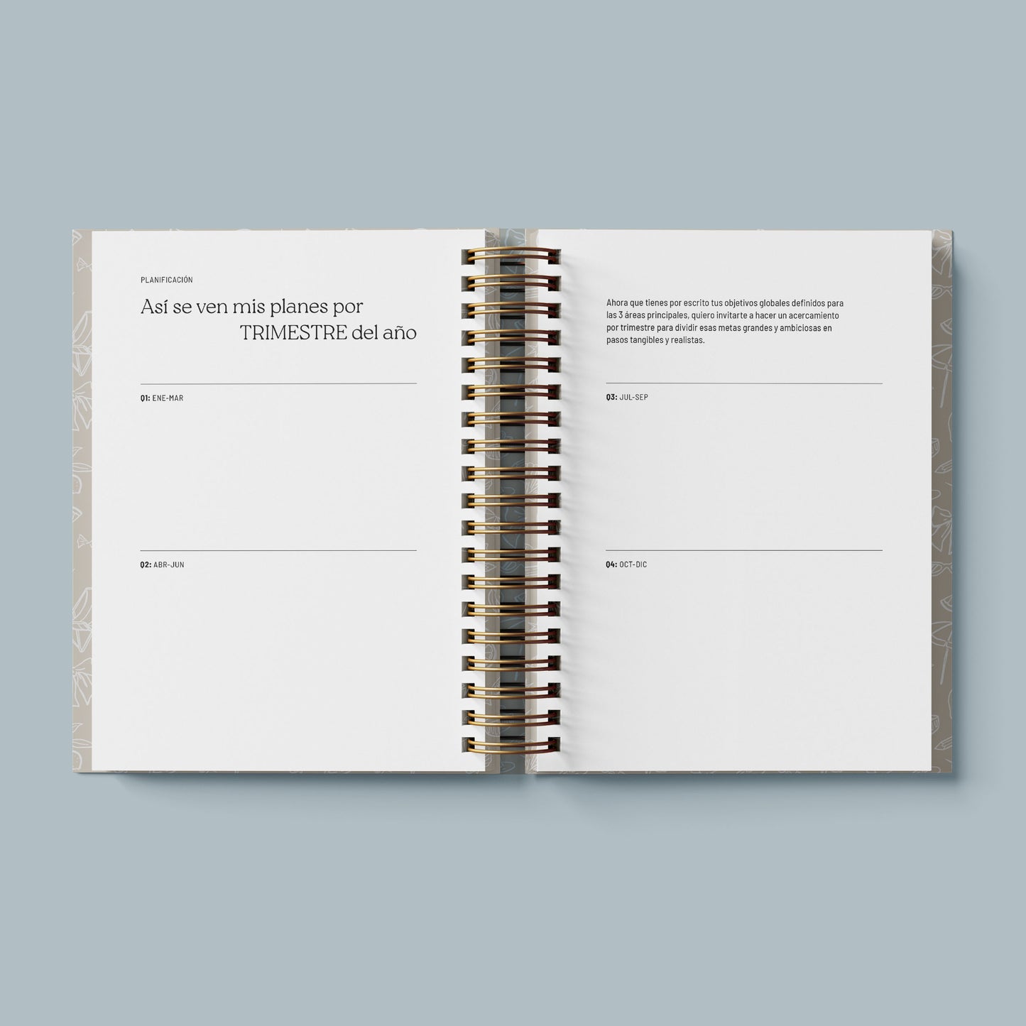 Sheboss Planner (sin fecha)