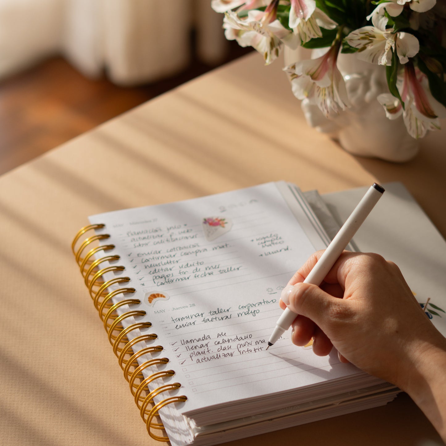 Sheboss Daily (fechada) - SIN PERSONALIZAR