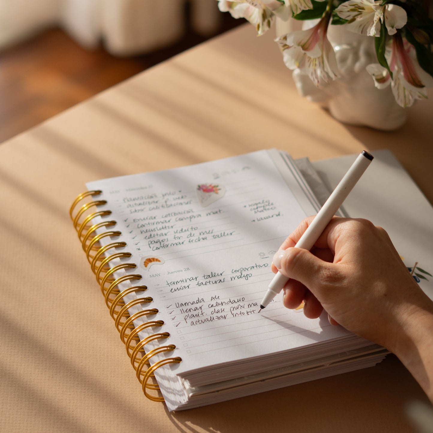 Cafecito con plan (6 de diciembre)